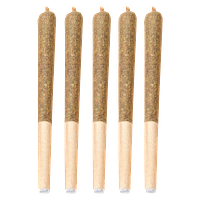 Bud Lafleur - Citroli Pre Roll