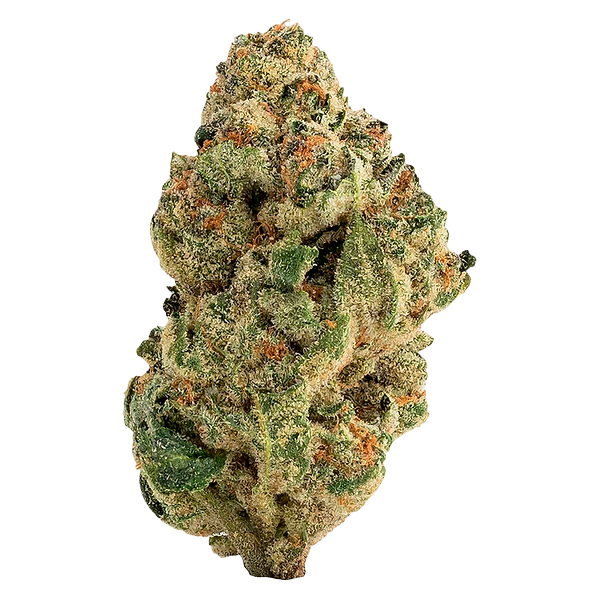 The Loud Plug - Venom