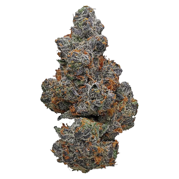 Potluck - Apple Fritter