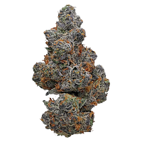 Potluck - Apple Fritter