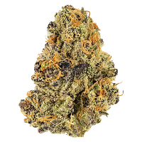 Potluck - Blueberry Tart