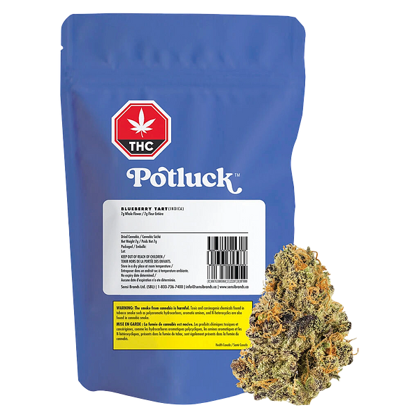 Potluck - Blueberry Tart
