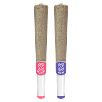 Sherbinskis - Ceramic Tip Mochi & Acai Infused Duo-Pack Pre Roll