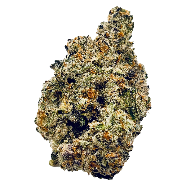 High Xotic - Royal Dive #2