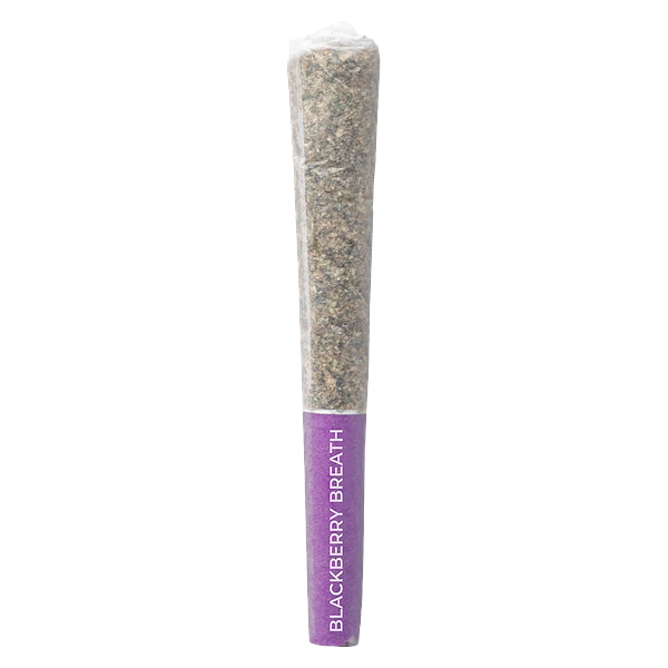 Pistol and Paris - Blackberry Breath Pre Roll