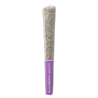 Pistol and Paris - Blackberry Breath Pre Roll