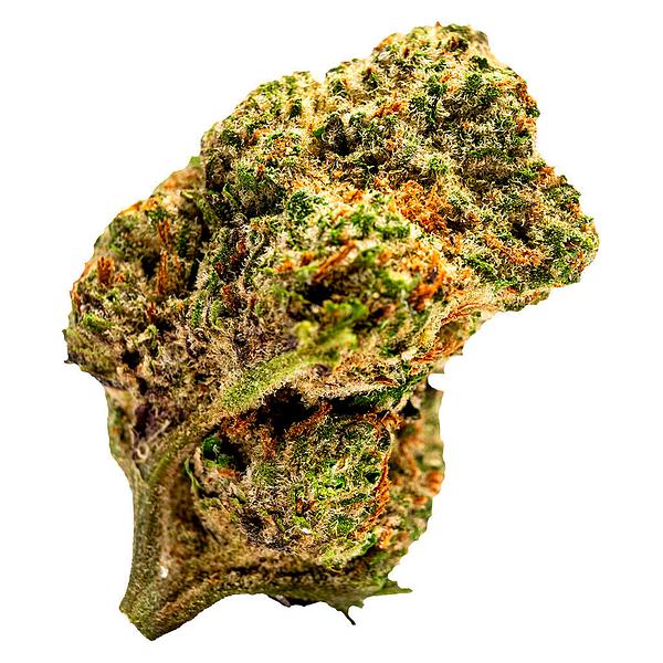 OMY! - Timeoff image 1