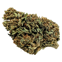 Frank CBD - Whole Plant Cbd Bud