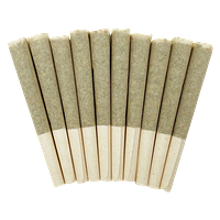 Skosha - Storm Pre Roll