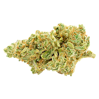 Bobs Better Buds - Animal Face #10