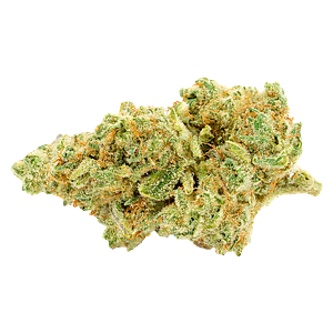 Bobs Better Buds - Animal Face #10