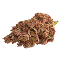 Thumbs Up - Day & Night