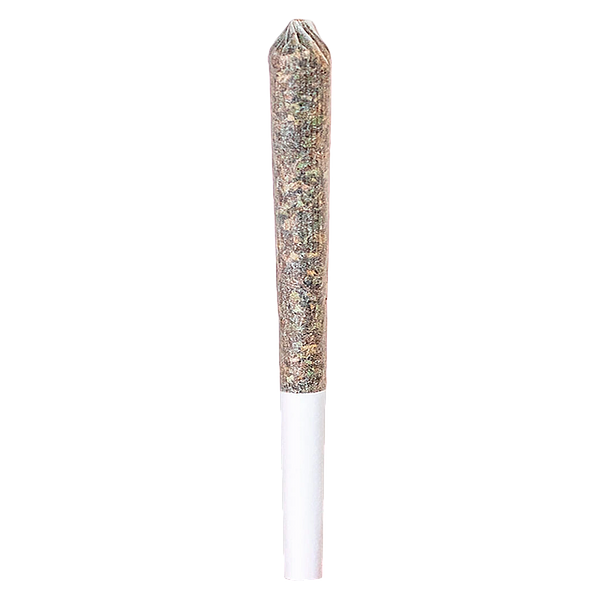 Station House - Ghost Train Haze Express Train Single Infused PreRoll