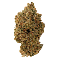 Pineapple Buds - Pineapple Haze