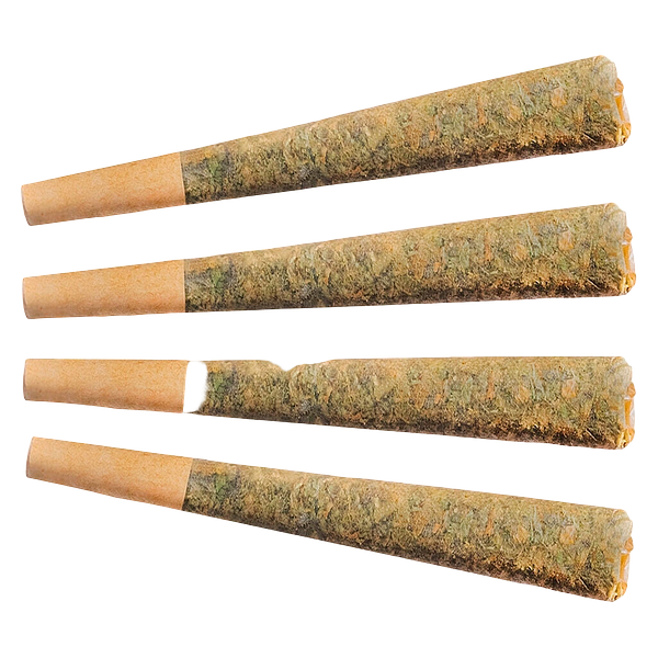 Fuego - Night Rider Pre Roll