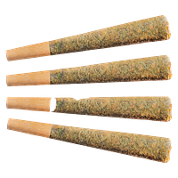 Fuego - Night Rider Pre Roll