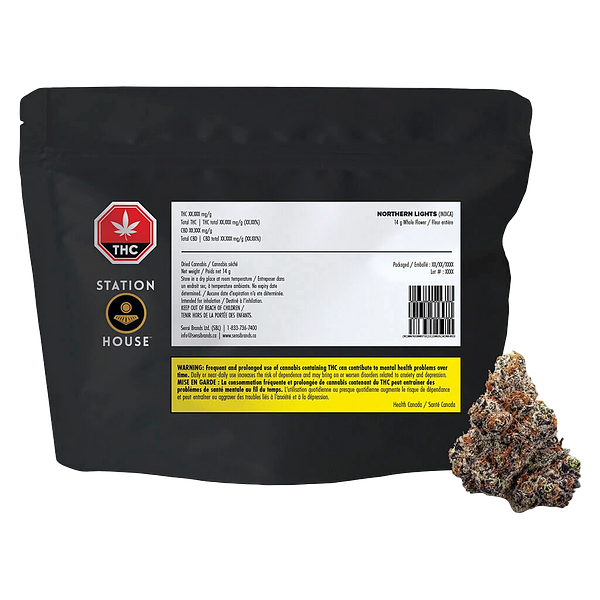 Station House - Northern Lights