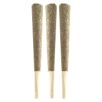 BLK MKT - The Half Pack Pre Roll