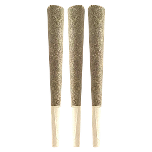 BLK MKT - The Half Pack Pre Roll