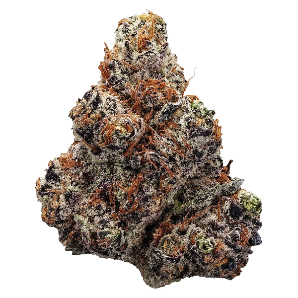 Station House - Northern Lights