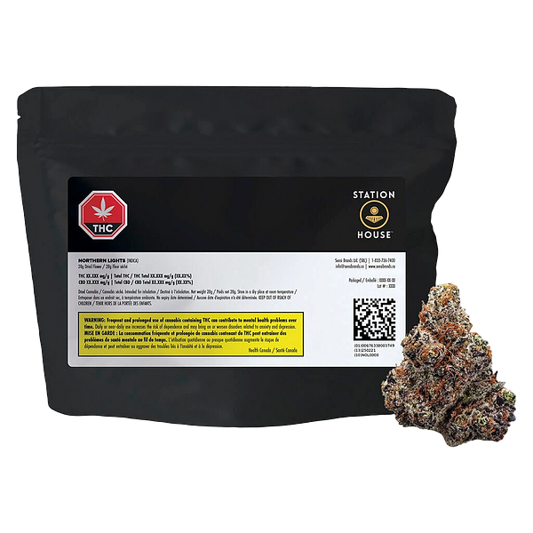 Station House - Northern Lights