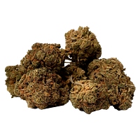 Space Race Cannabis - Houston's Problem