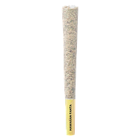 Pistol and Paris - Hawaiian Fanta Pre Roll