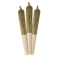 LITTI. - Savage Oh J Infused Pre Roll