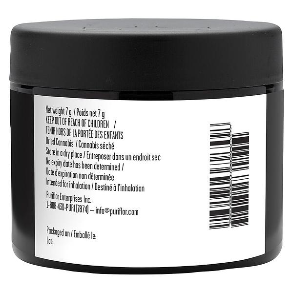 Cactus - Kush Fest image 3