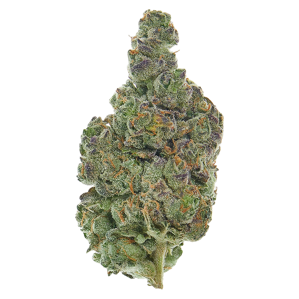 Lyoclean - Sublimed Flower