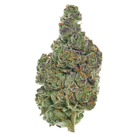 Lyoclean - Sublimed Flower
