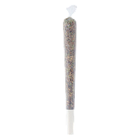 Double J's - TK3k Pre Roll