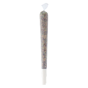 Double J's - TK3k Pre Roll