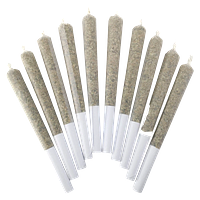 BC Doobies - White Chocolate Pre Roll