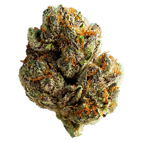 Muskoka Grown - Lakeside Kush