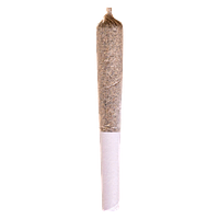Station House - Sativa Express Infused Pre Roll