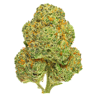 San Rafael '71 - Chemango Kush