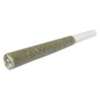 1Spliff - Cannon Pre Roll