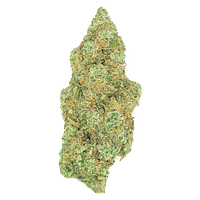 Greybeard - Critical Diesel