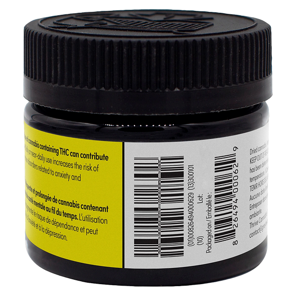 Greybeard - Critical Diesel