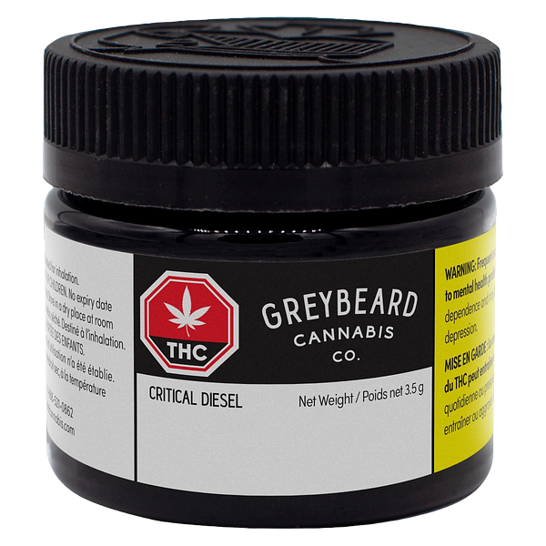 Greybeard - Critical Diesel