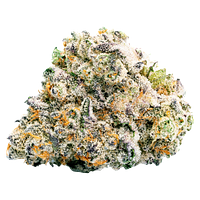 BLK MKT - Guava Bomba