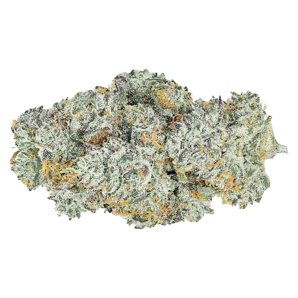 Coterie - Lemon Cherry Gelato