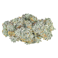 Coterie - Lemon Cherry Gelato