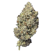 Papa's Herb - Jealousy