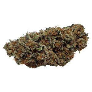 Color Cannabis - Pedro's Prima Sativa