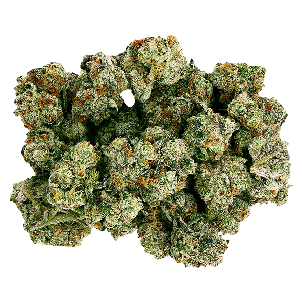 Starting Point! - Frenchy Macaroni