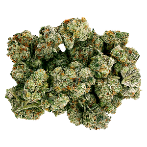 Starting Point! - Frenchy Macaroni