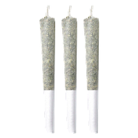 Pineapple Buds - Volcanic Haze Craft Pre-Rolls