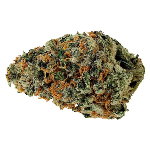 Starting Point! - Star Chase